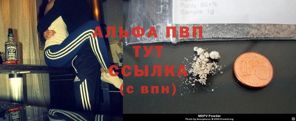 стаф Алексин