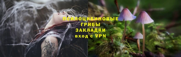 дживик Арсеньев