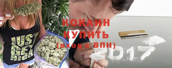 ALPHA PVP Богородицк