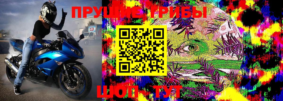 Галлюциногенные грибы Psilocybine cubensis  Вход с VPN  Ступино  Галлюциногенные грибы GOLDEN TEACHER 